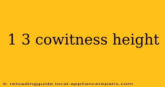 1 3 cowitness height