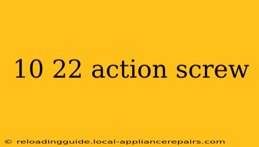 10 22 action screw