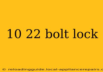 10 22 bolt lock