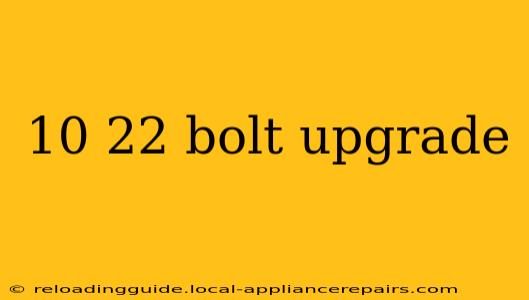 10 22 bolt upgrade