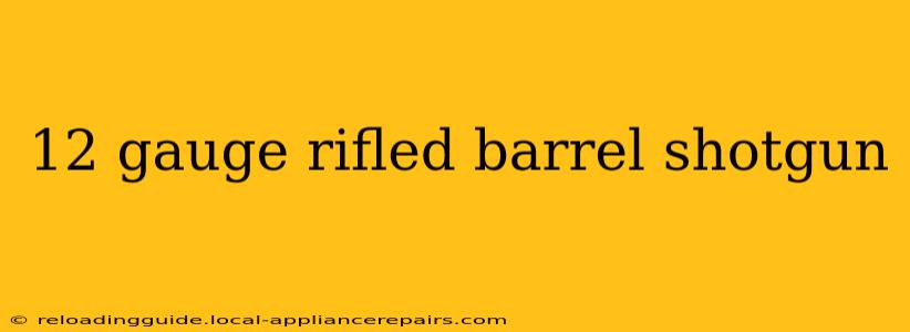 12 gauge rifled barrel shotgun