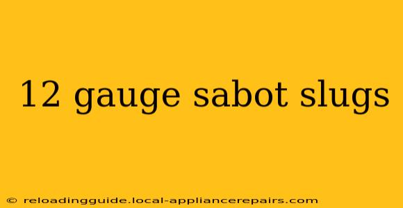 12 gauge sabot slugs