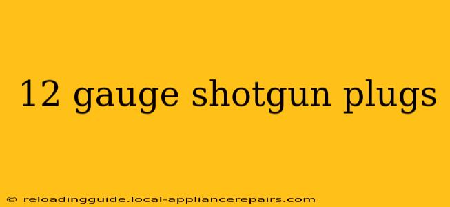 12 gauge shotgun plugs