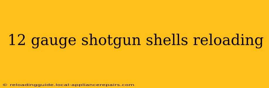 12 gauge shotgun shells reloading