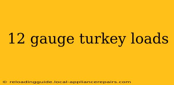 12 gauge turkey loads