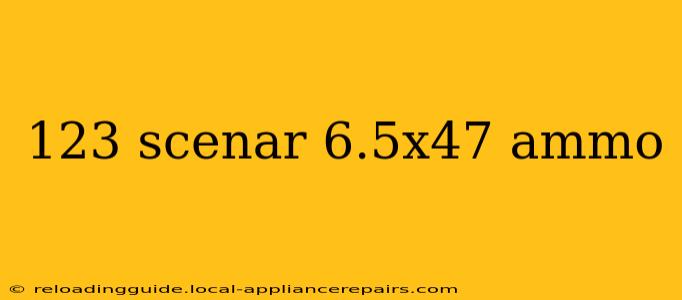 123 scenar 6.5x47 ammo