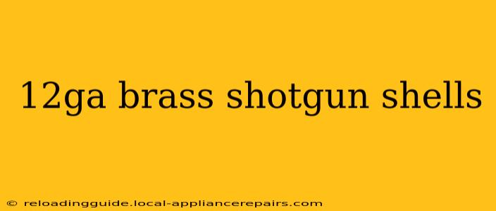 12ga brass shotgun shells