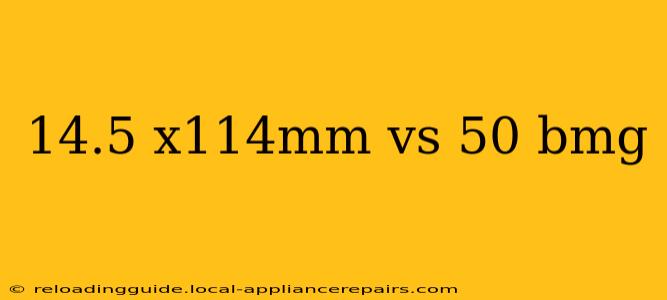 14.5 x114mm vs 50 bmg