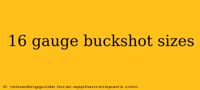 16 gauge buckshot sizes