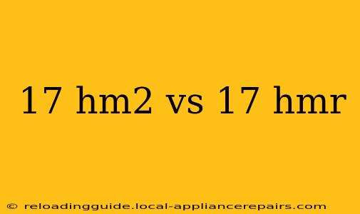 17 hm2 vs 17 hmr