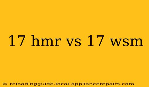 17 hmr vs 17 wsm