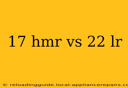 17 hmr vs 22 lr