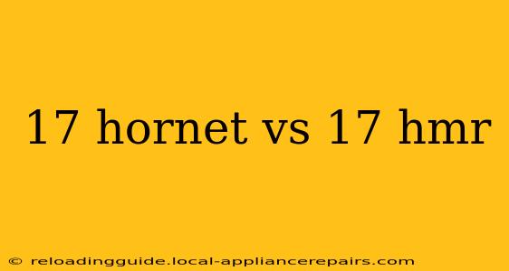 17 hornet vs 17 hmr