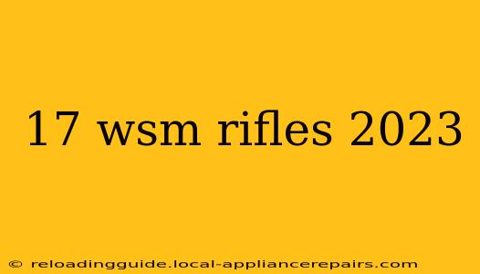 17 wsm rifles 2023