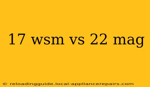 17 wsm vs 22 mag