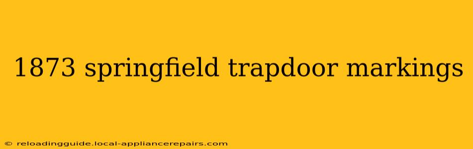 1873 springfield trapdoor markings