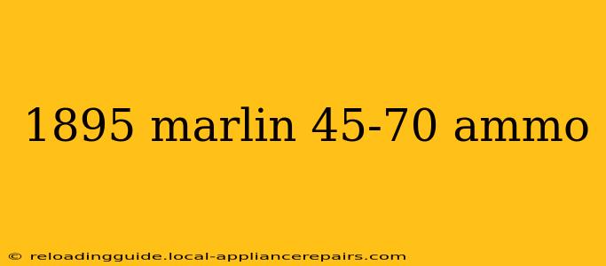 1895 marlin 45-70 ammo