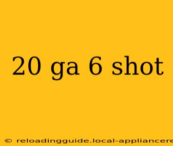 20 ga 6 shot