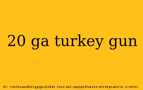 20 ga turkey gun