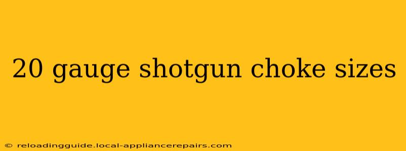 20 gauge shotgun choke sizes