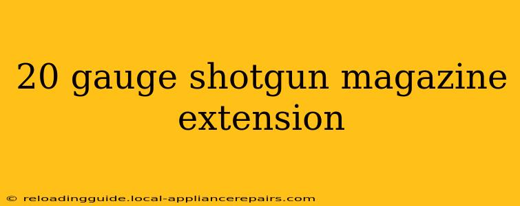 20 gauge shotgun magazine extension