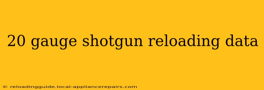 20 gauge shotgun reloading data