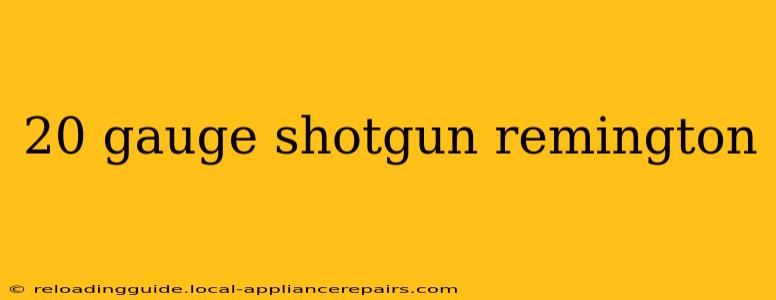 20 gauge shotgun remington