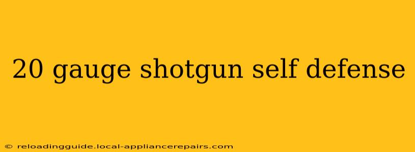 20 gauge shotgun self defense