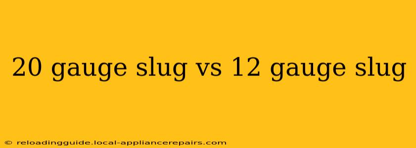 20 gauge slug vs 12 gauge slug