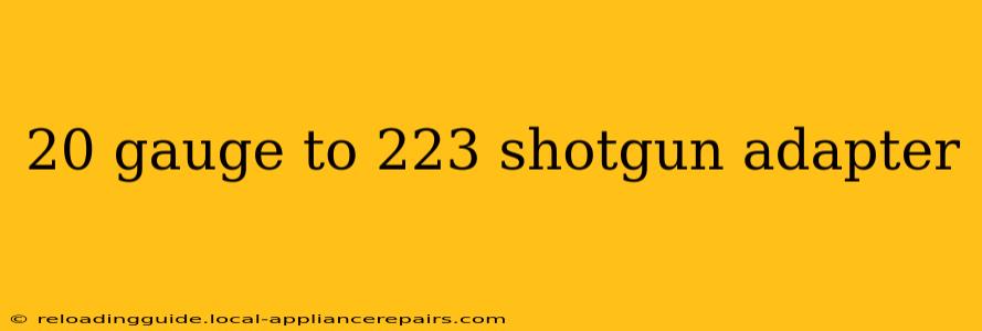 20 gauge to 223 shotgun adapter