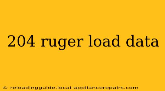 204 ruger load data