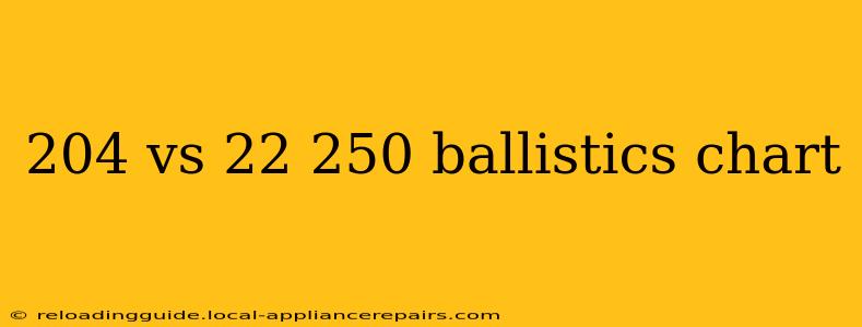 204 vs 22 250 ballistics chart