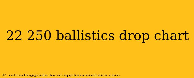 22 250 ballistics drop chart