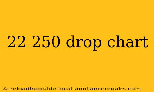 22 250 drop chart