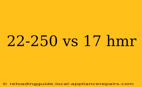 22-250 vs 17 hmr