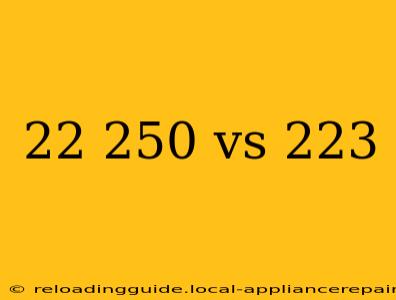 22 250 vs 223