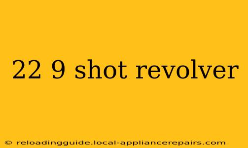 22 9 shot revolver