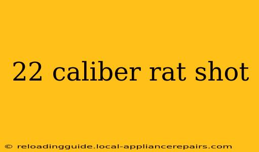 22 caliber rat shot