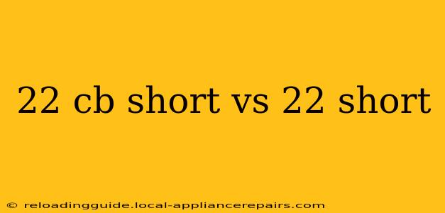 22 cb short vs 22 short