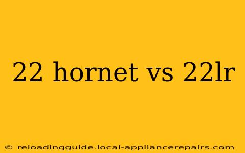 22 hornet vs 22lr