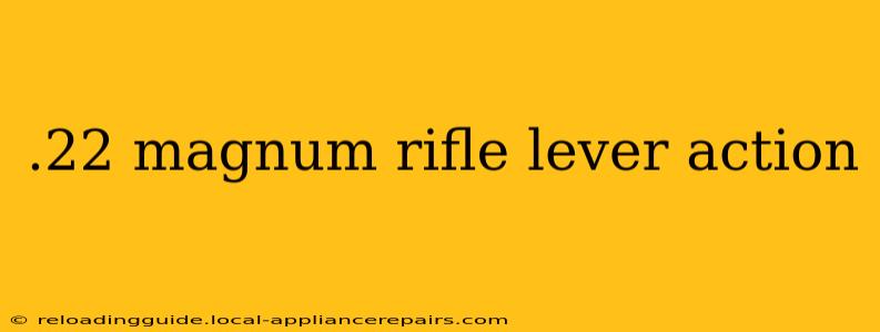 .22 magnum rifle lever action