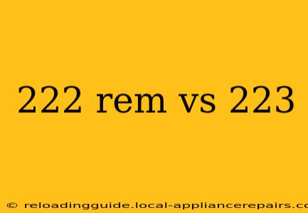 222 rem vs 223