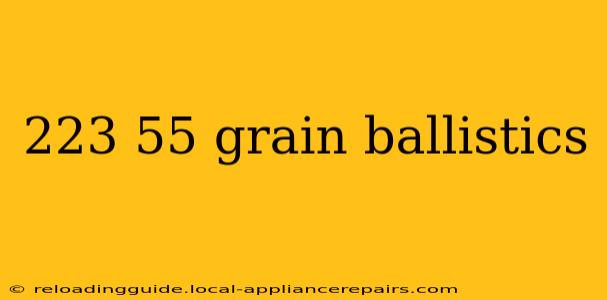 223 55 grain ballistics