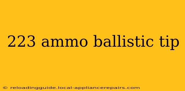 223 ammo ballistic tip