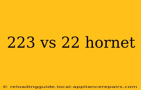 223 vs 22 hornet