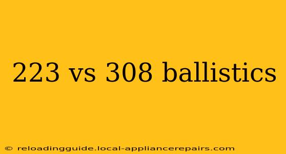 223 vs 308 ballistics