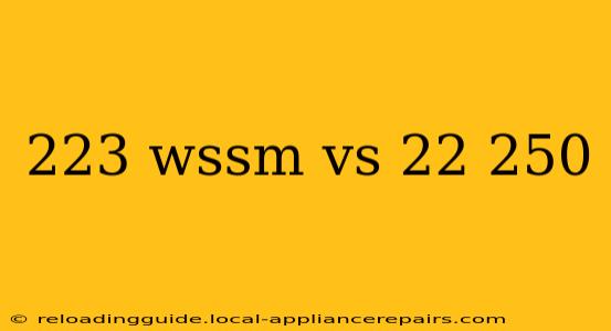 223 wssm vs 22 250