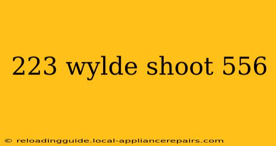 223 wylde shoot 556