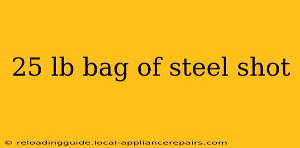 25 lb bag of steel shot