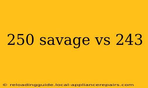 250 savage vs 243